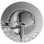 Logo RVS met transparante achtergrond